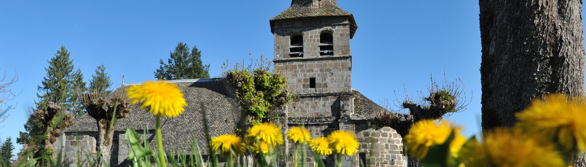 Saint-Martin-Cantalès petite commune du Cantal